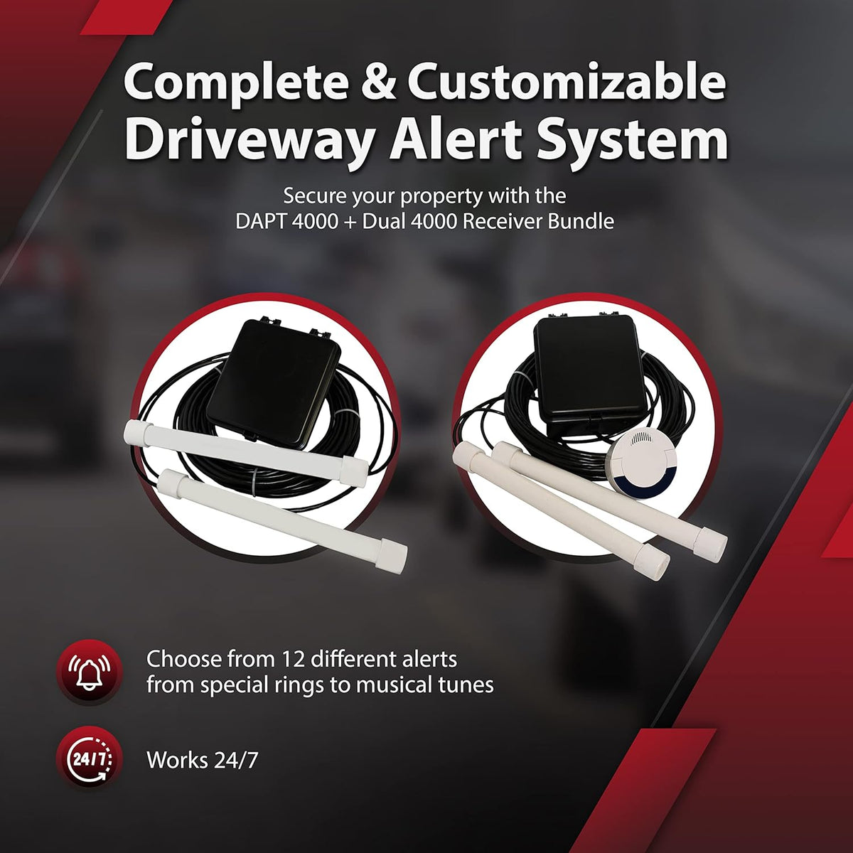 Dual-4000 Security System with 2 Probes D983