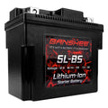 12V 90 CA Lithium Ion Sealed Battery C708732