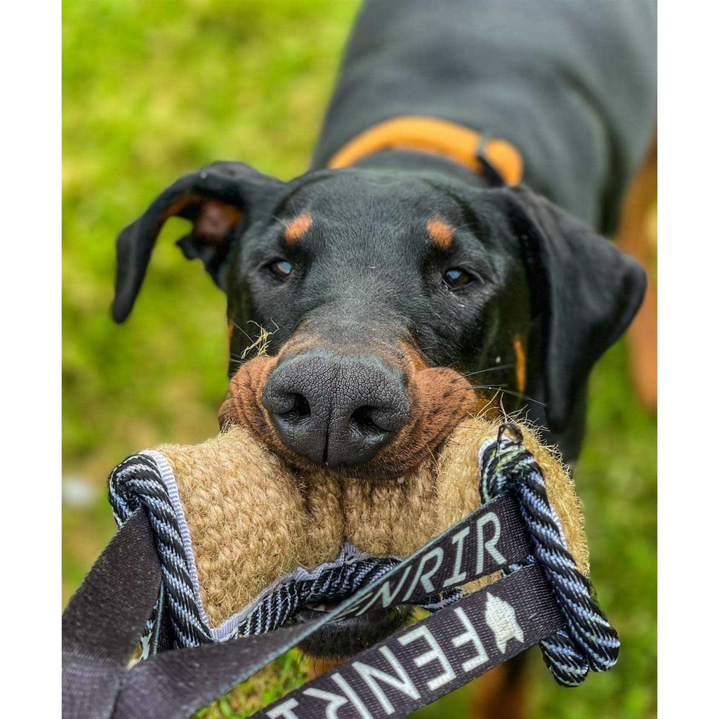 Jute Tug Toy Q3009