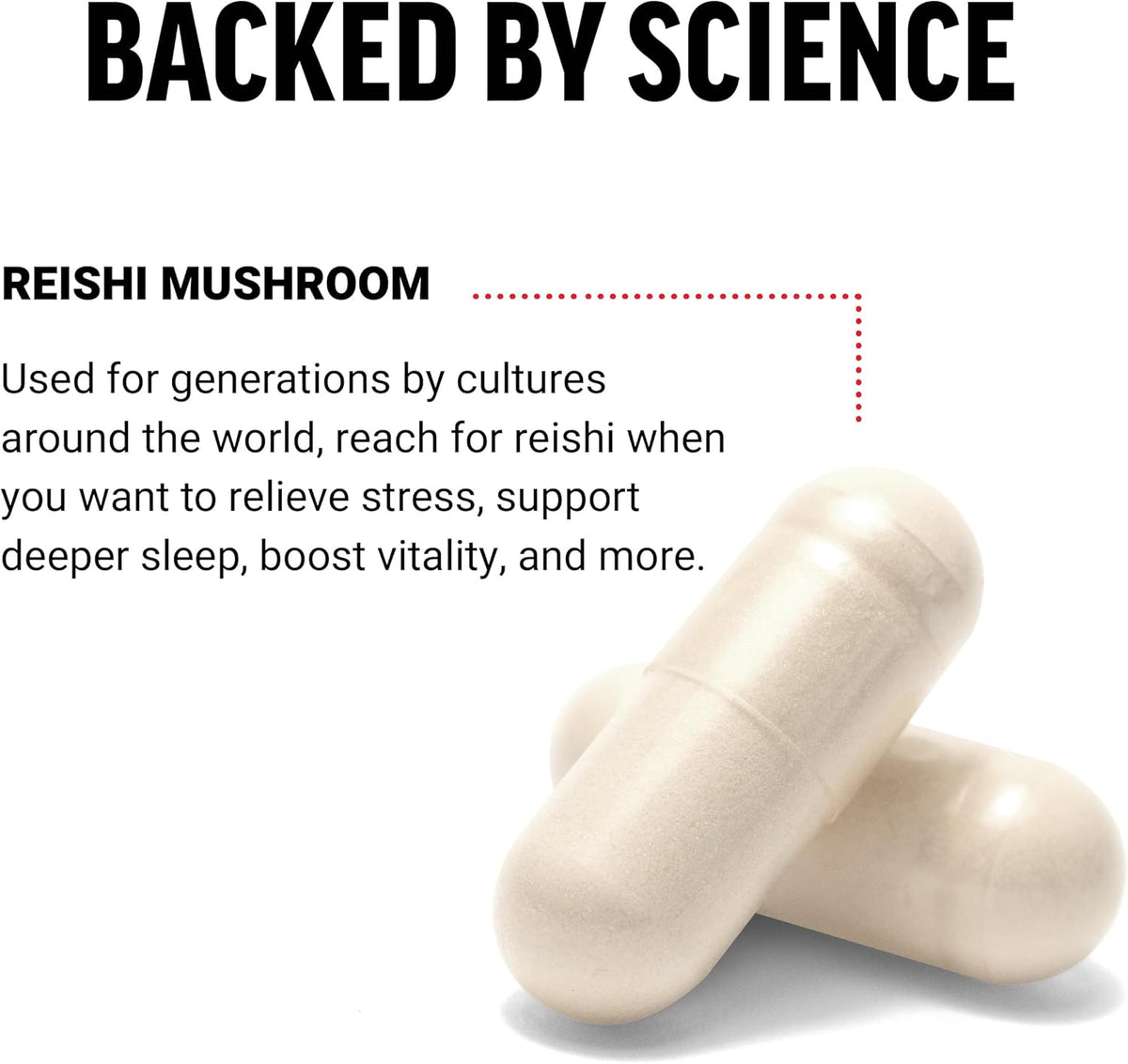 Reishi Mushroom Supplement, 100 Vegetable Capsules W1554