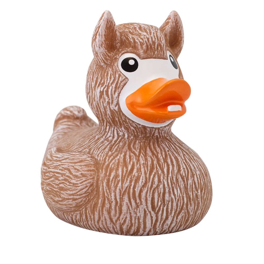 Rubber Duck M954