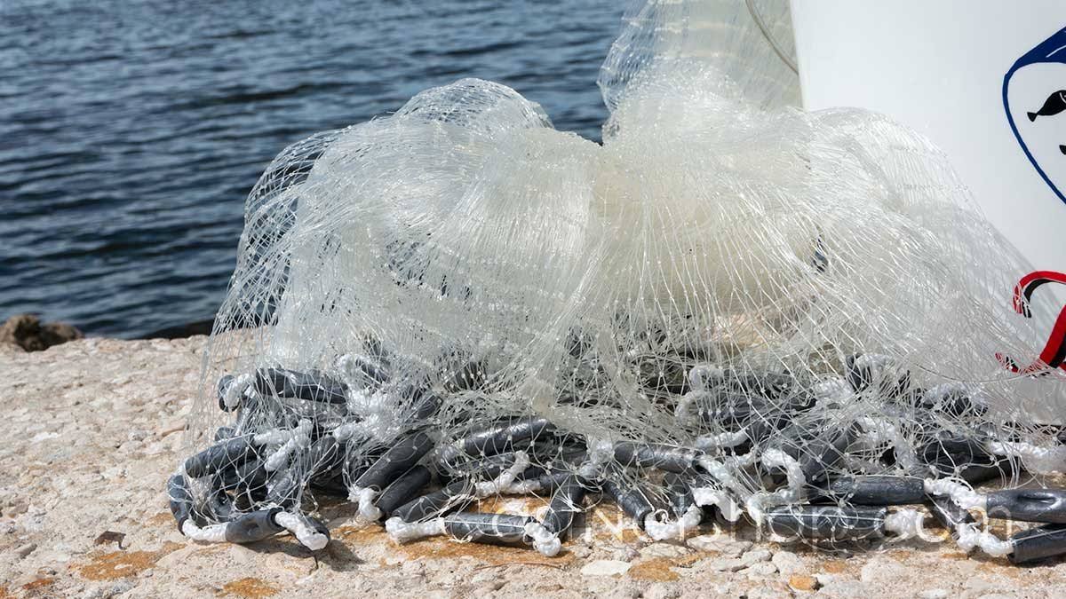 Menhaden Cast Nets C5341