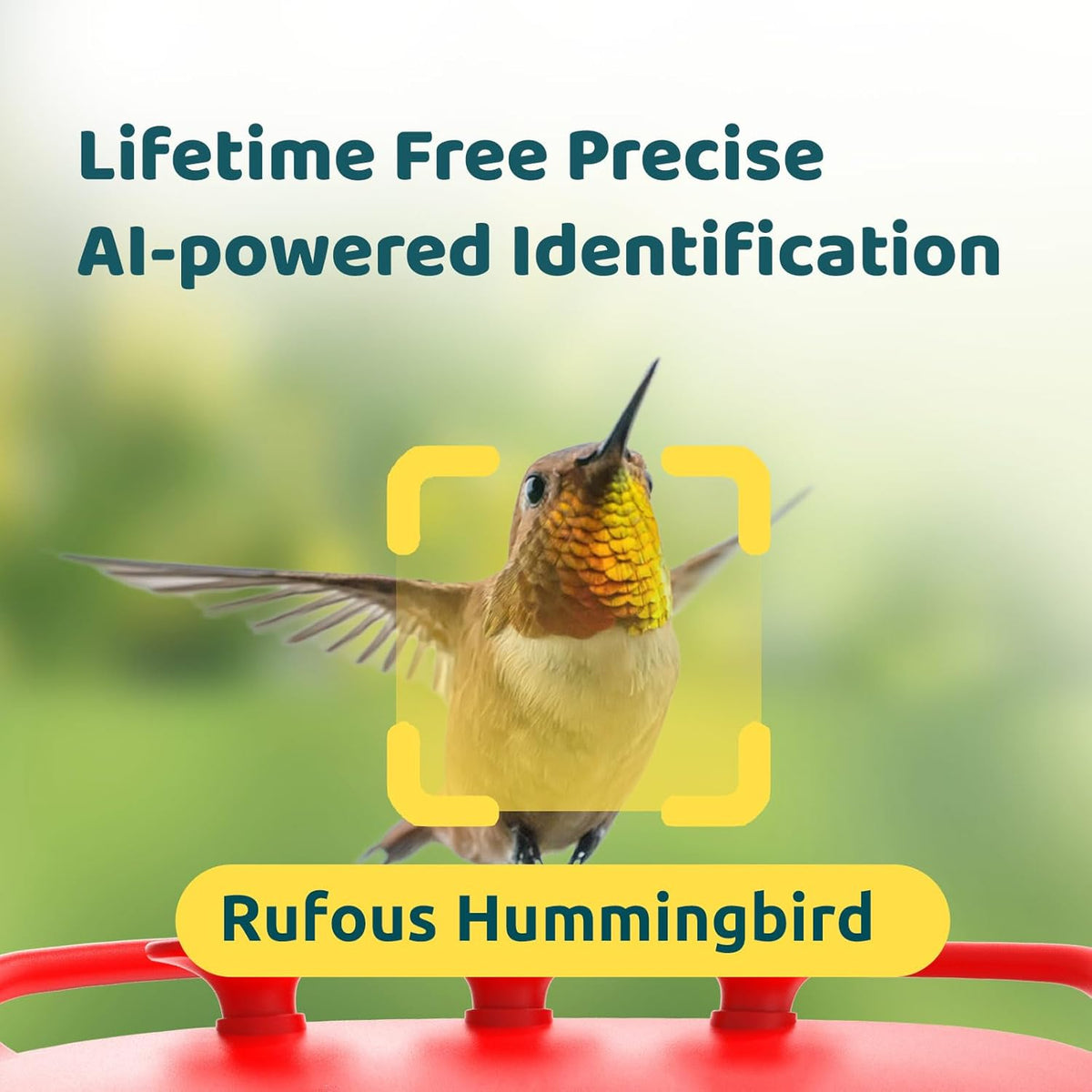 Hummingbird Feeder with Camera, 2K Dual Smart Cameras Solar Powered, 20 Ounces N58656