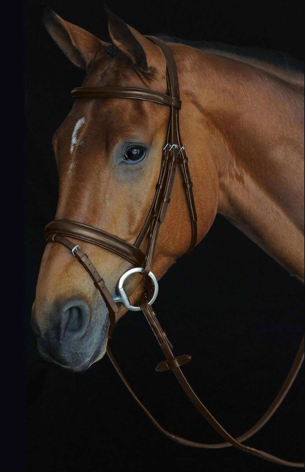 Black Padded Raised Flash Bridle D6780