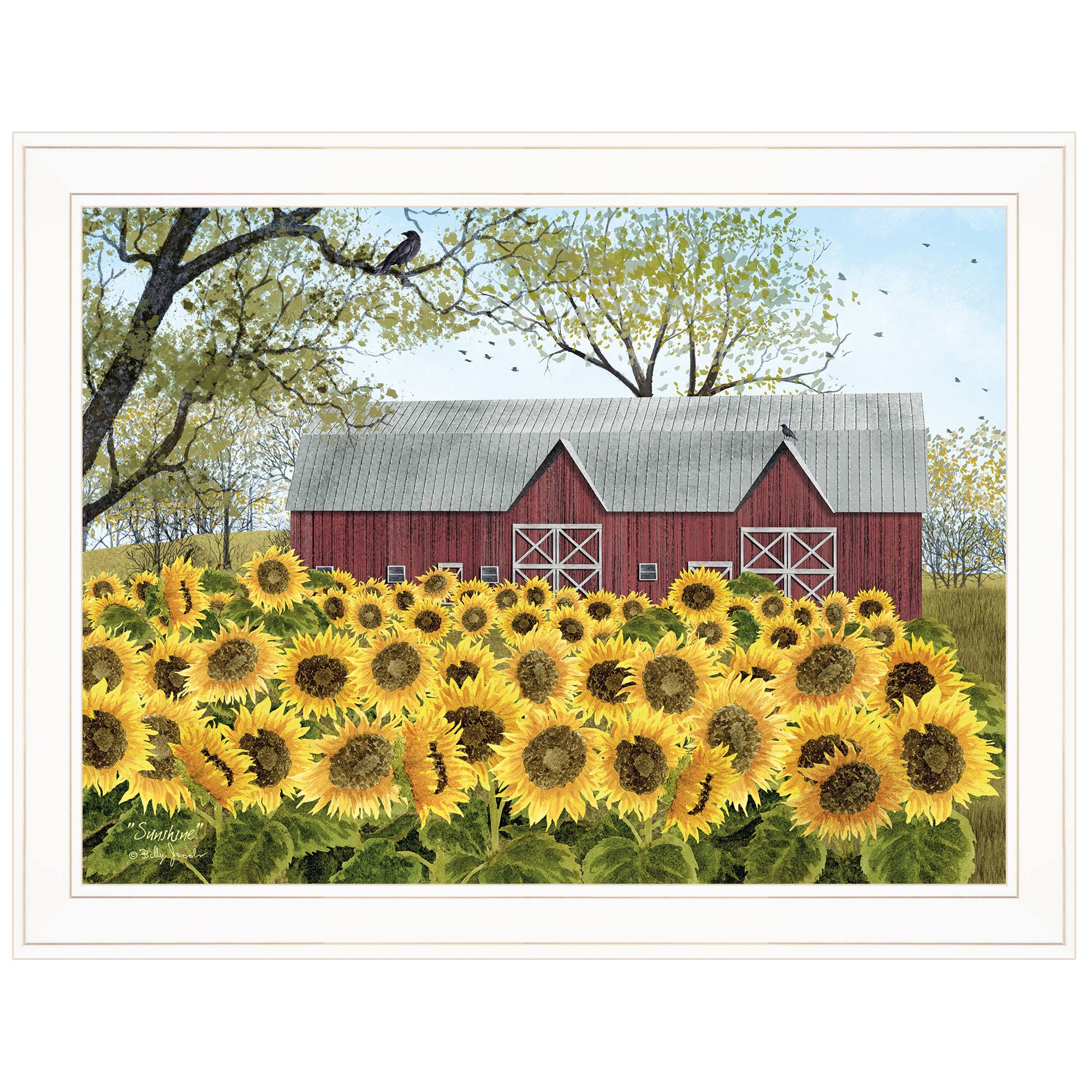 White Frame Framed Print U5523