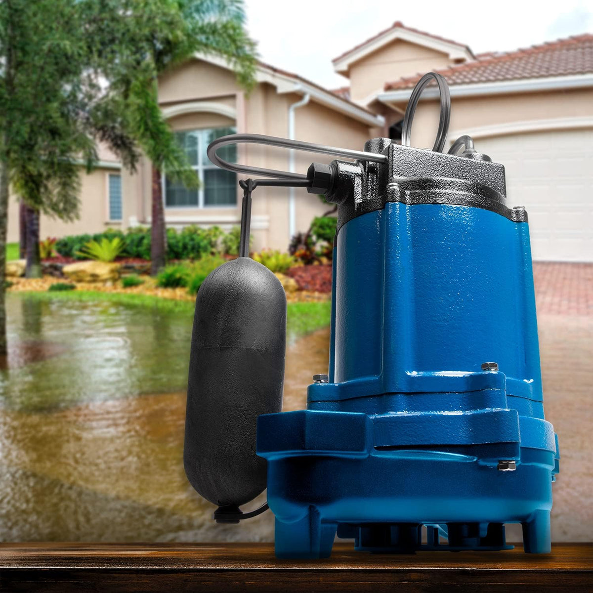3/4 hp Cast Iron Sump Pump C569