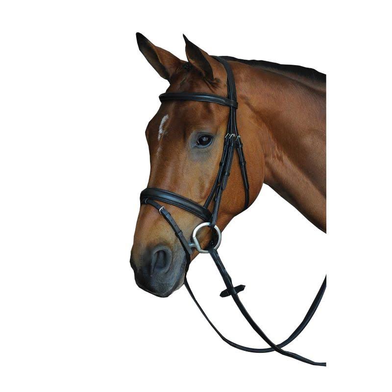Black Padded Raised Flash Bridle D6780