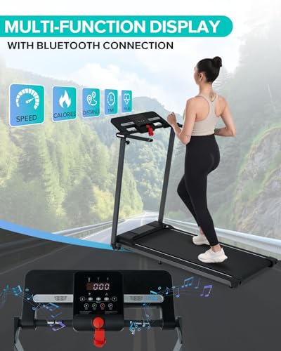 2.5HP Electric Treadmill with LCD Display W22532