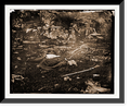 Framed Print, 17-7/8" x 21-7/8" A458656