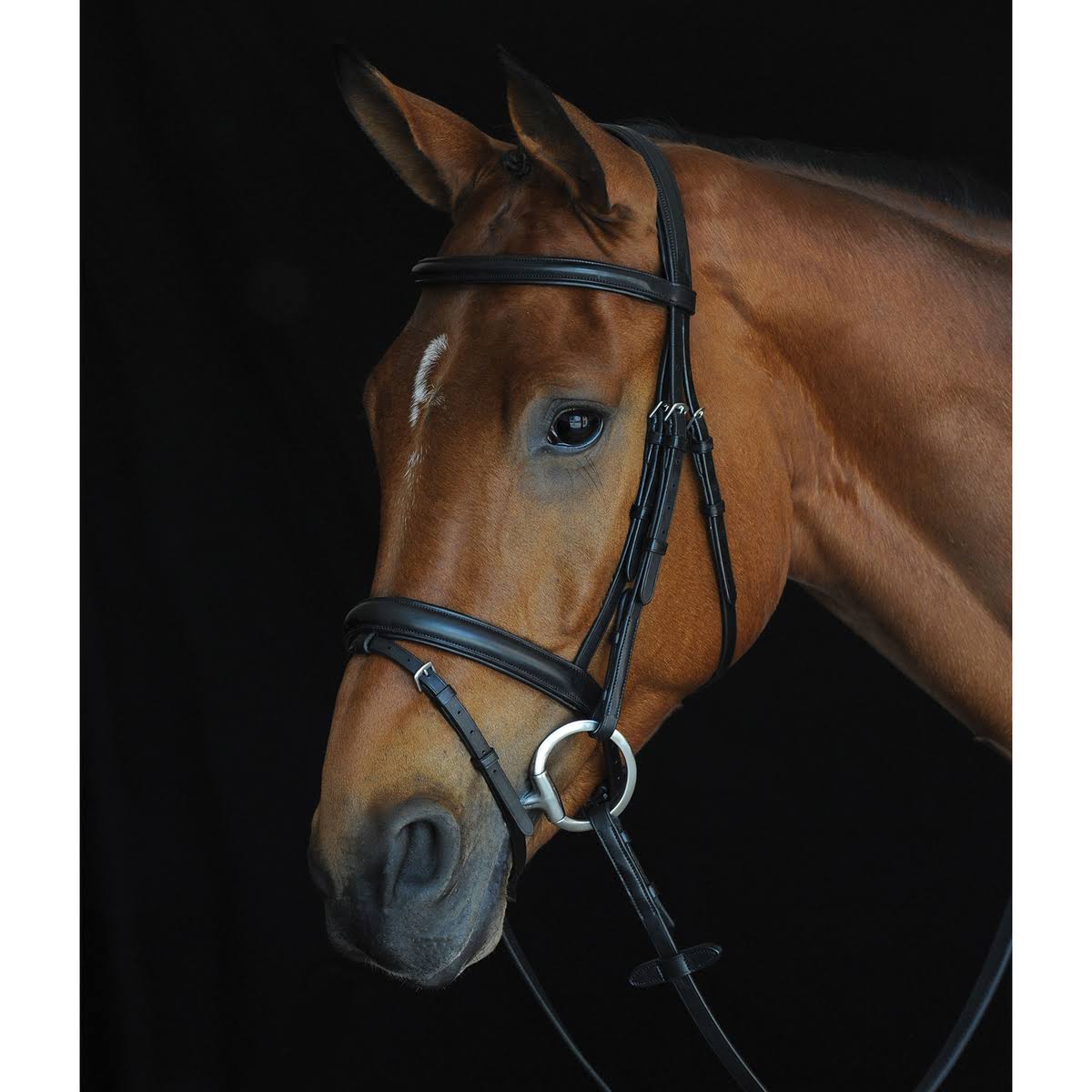 Black Padded Raised Flash Bridle D6780