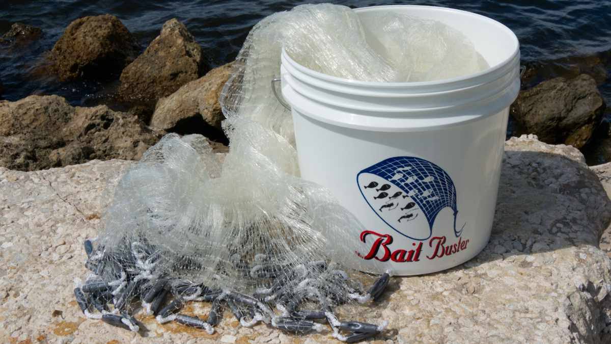Menhaden Cast Nets C5341