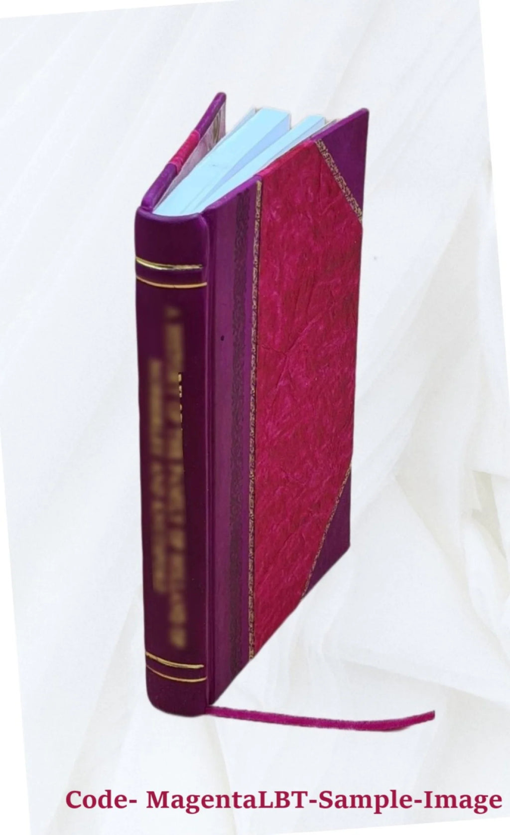 Local Self-Government: A Proposed Optional Charter Plan, Second Report of the Commission on Municipal Government, Volume 2, 1950, Leather Bound S4886
