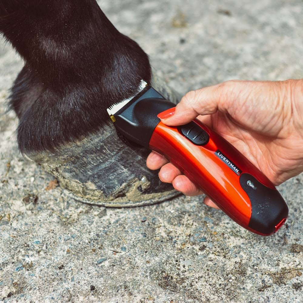 Rechargeable Trimmer C846847