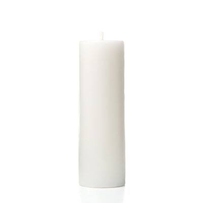 White Citronella Pillar Candle Set of 12 I425196