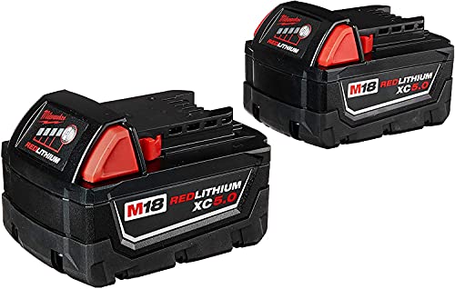 5 Ah Lithium-Ion Battery (2-Pack) C5392