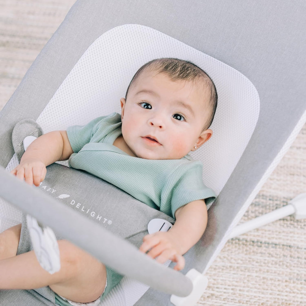 3-Position Recline Pebble Grey Baby Bouncer I884