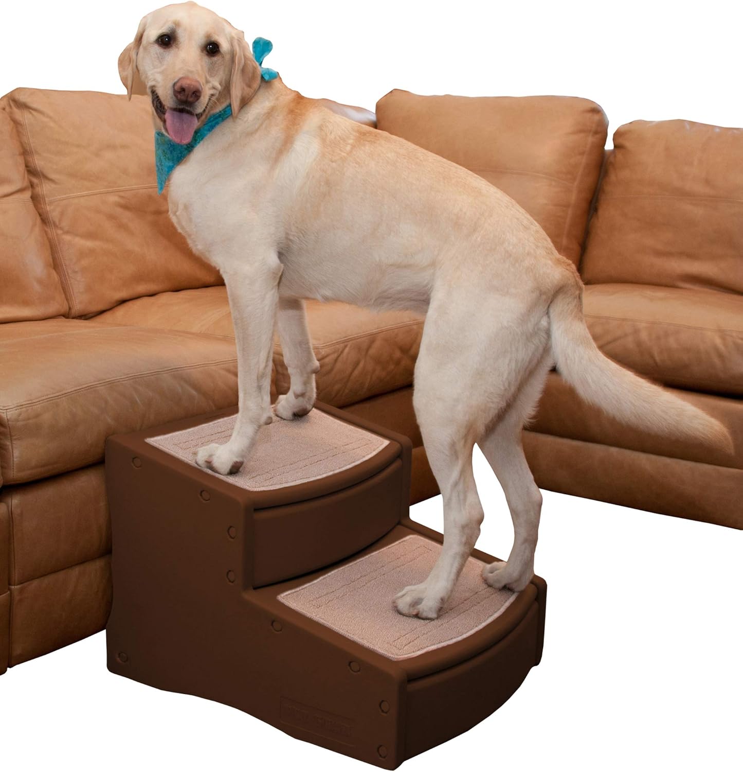Pet Stairs, 2 Step, Extra Wide, Removable Carpet, Pack of 2 F51248