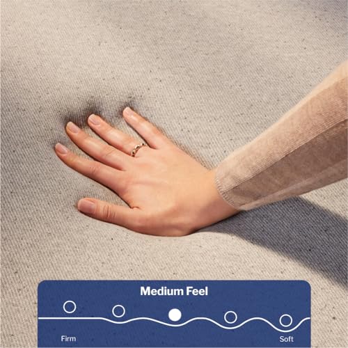 Queen Medium Firm Memory Foam Mattress W97565