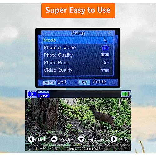 64MP 1296p Trail Camera with No Glow Night Vision Y44309