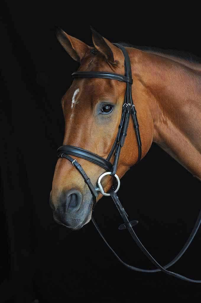 Black Padded Raised Flash Bridle D6780
