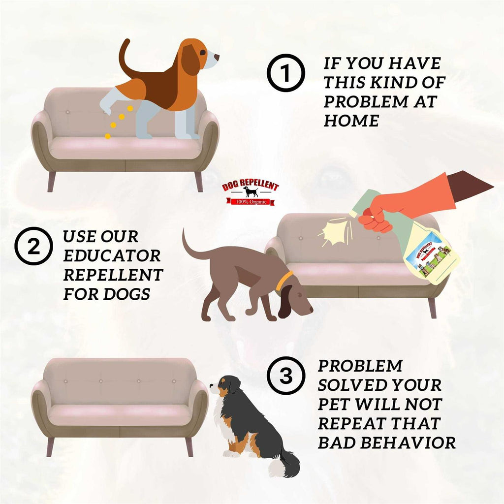 Dog Repellent Spray for Couch P2042