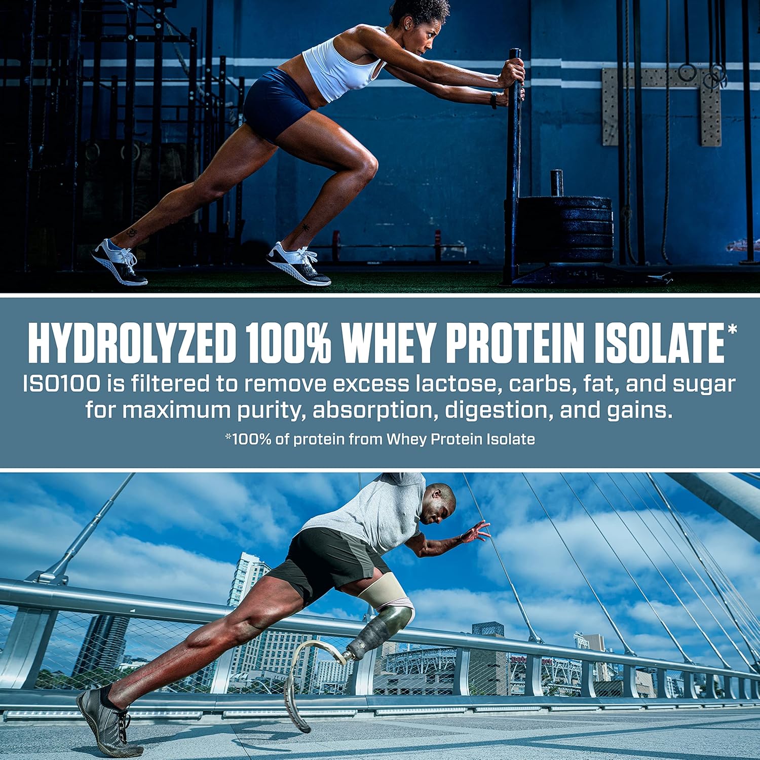Gourmet Chocolate 5 Pound Whey Isolate Protein Powder J95306