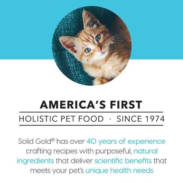 Canned Cat Food Tuna Recipe in Gravy G95633