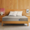 Queen Medium Firm Memory Foam Mattress W97565