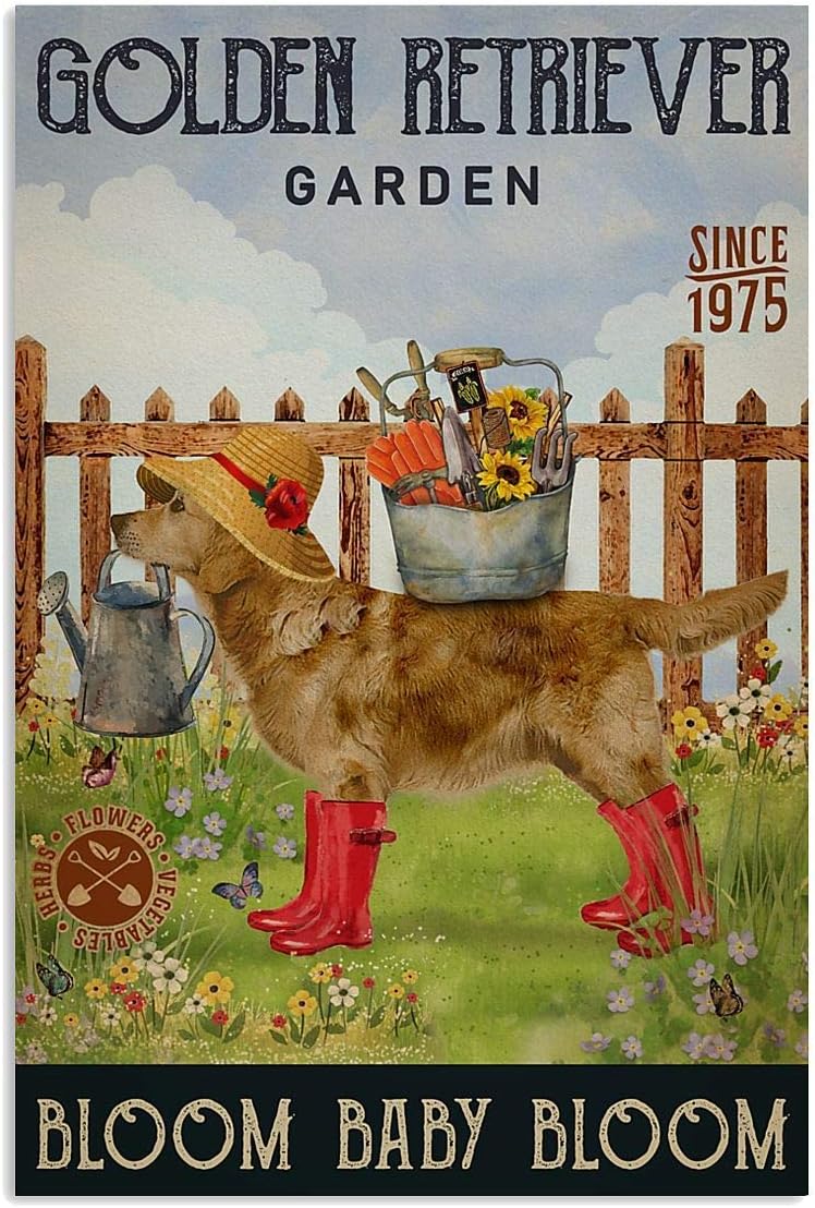 Retro Metal Tin Sign 8x12 inches H423