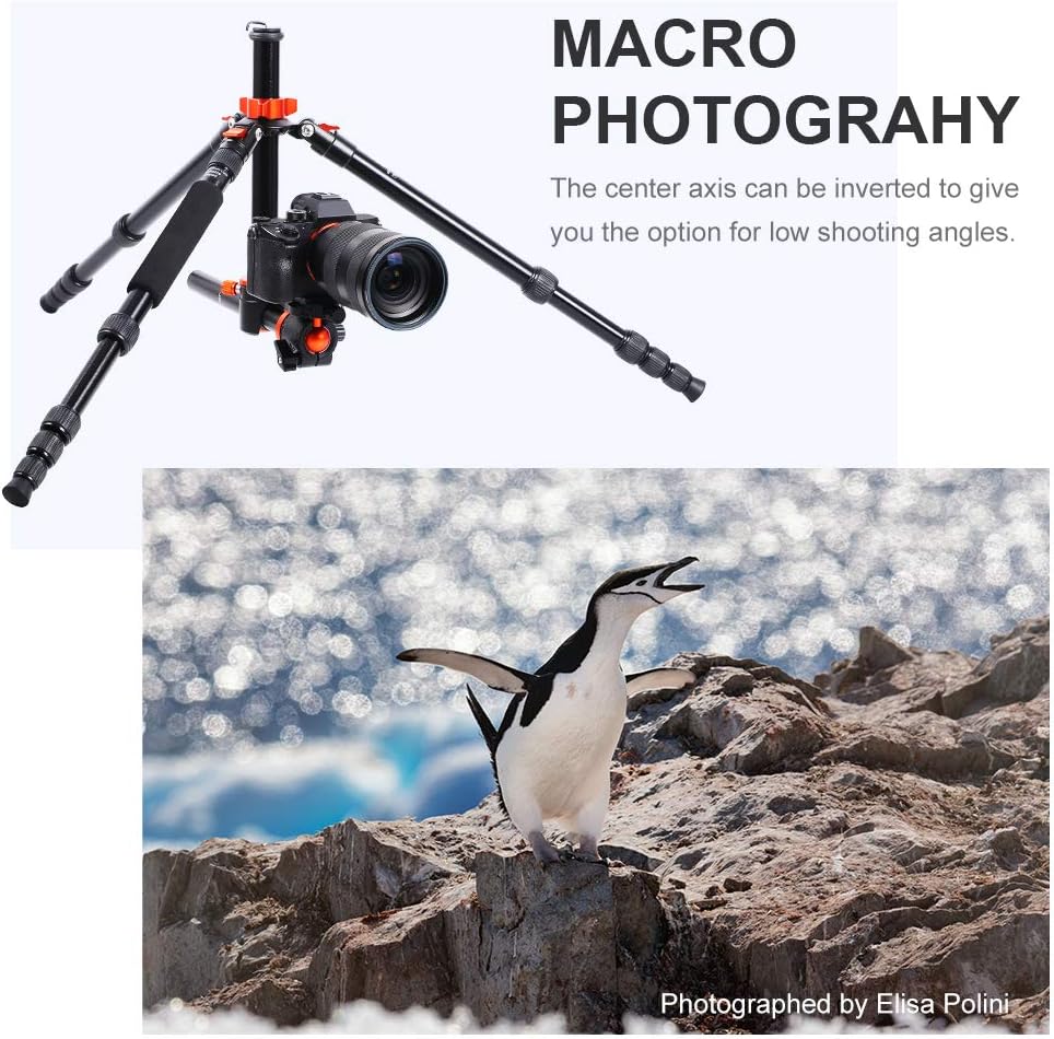 67 inch Aluminum Camera Tripod with 360 Degree Ball Head M3140
