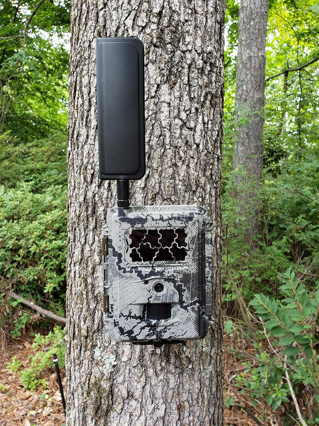 AT&T 4G LTE Wireless Trail Camera with Batteries, SD Card, Card Reader, and Mount P24870