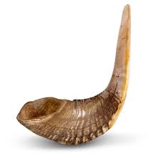 Natural Dark Ram&s Horn Shofar J5217